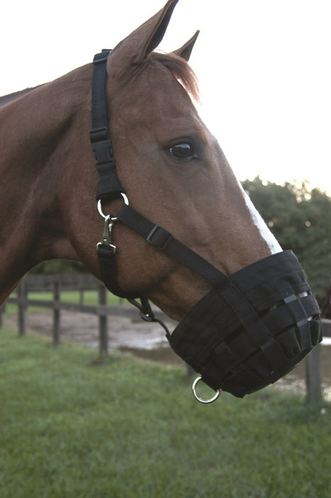 Horse Muzzle, Nylon Web