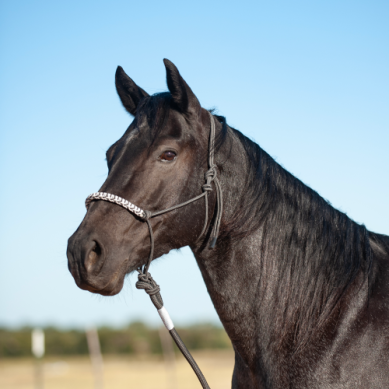 3-Tone Rope Halter and 8-foot Leadrope-Charcoal/Grey/White