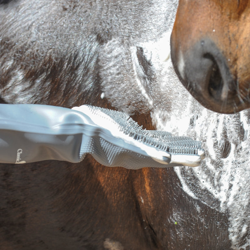 Classic Equine Wash Glove