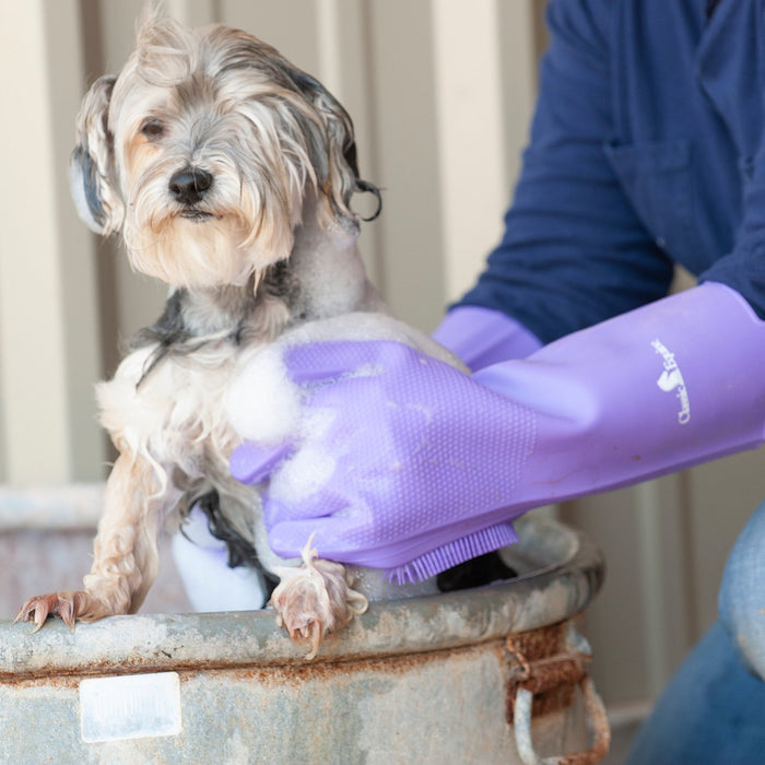Classic Equine Wash Glove