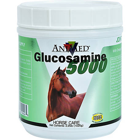GLUCOSAMINE 5000 16OZ