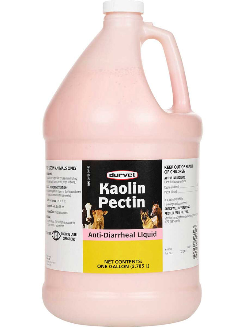 KAOLIN PECTIN ANTI-DIARRHEAL LIQUID 1GAL