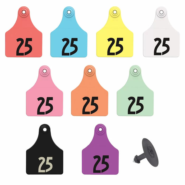 LG. Female/SM Male Black 1-25