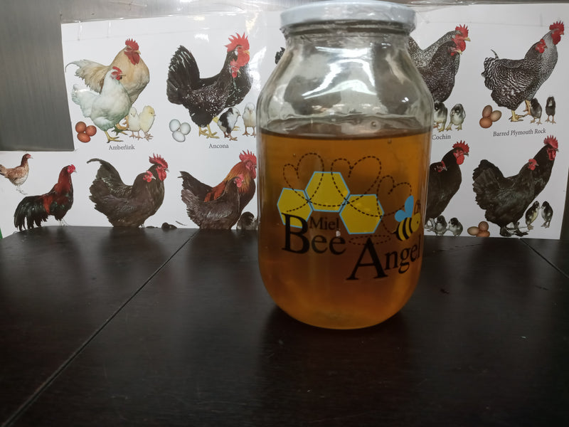 Bee Angel: All Natural Honey - Miel Large, 1000 GR