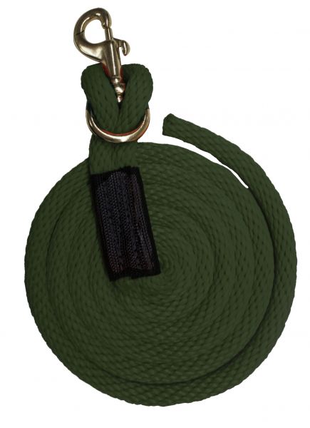 8ft Derby Lead with Removable Snap.