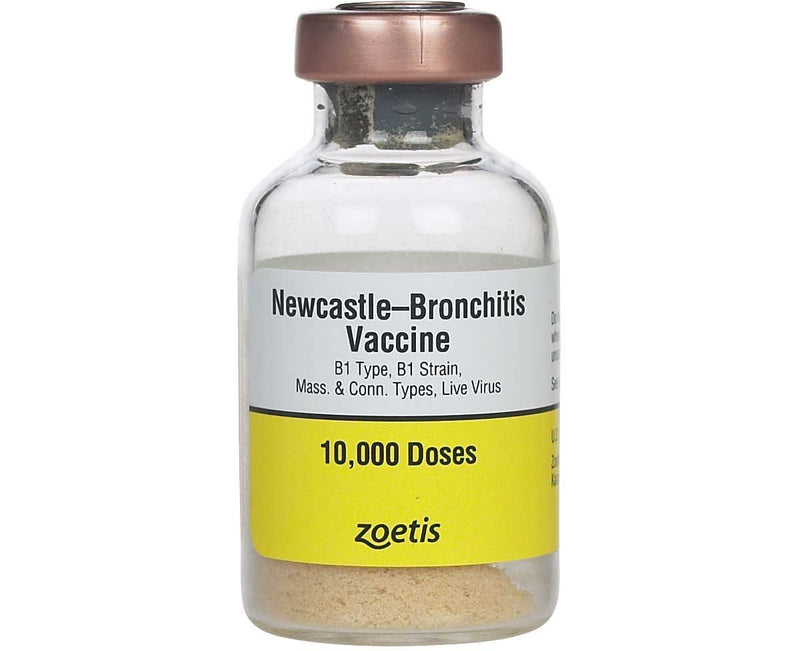 Newcastle Bronchitis B1, Mass. & Conn. 10,000 dose