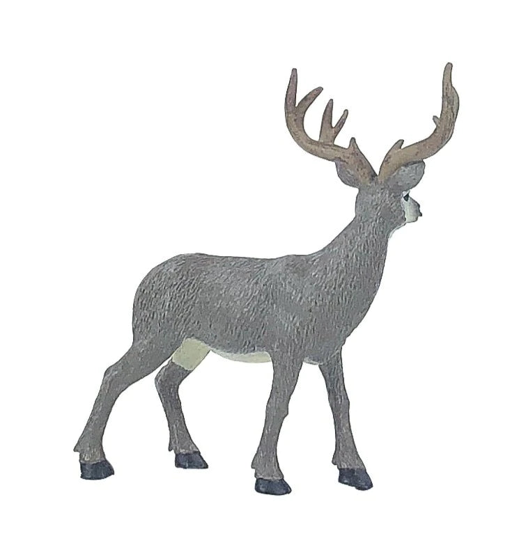 Mule Deer