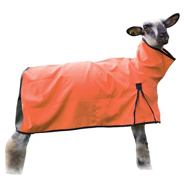 SHEEP COOL MESH ORANGE MED