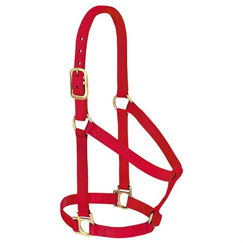 Basic Non-Adjustable Halter - Large Red — Bushland Ranch Store