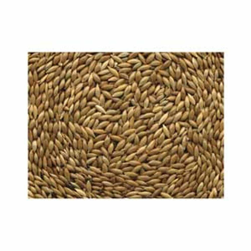 CANARY SEED 50 LBS - ALPISTLE 50LB