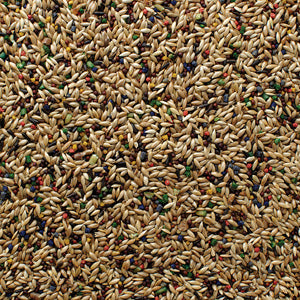 Grains-Plus Canary Blend - 25 lb
