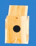 NESTING BOX LOVEBIRD, REVERSE
