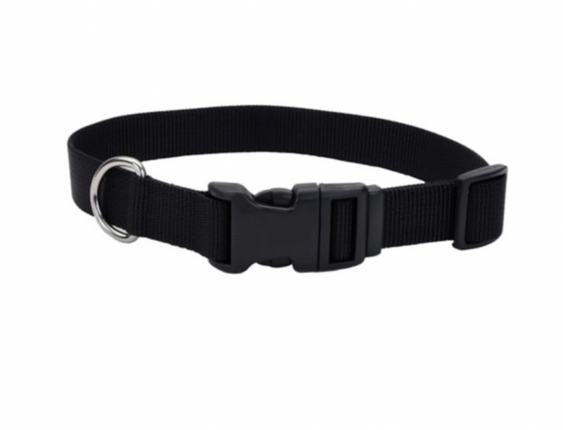 SHOWMAN DOG COLLAR
