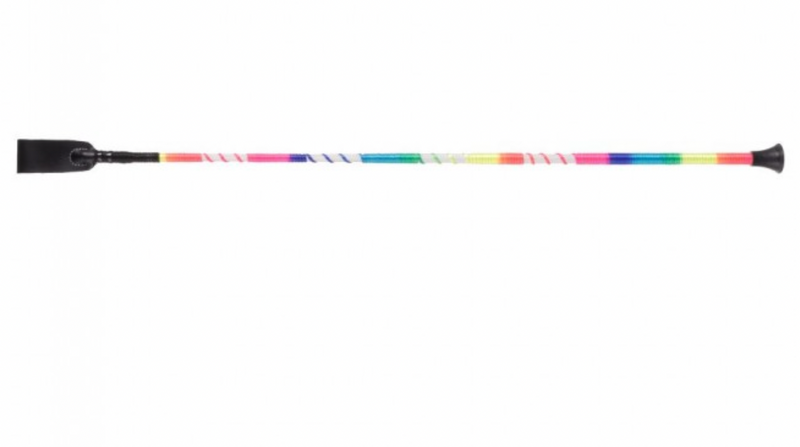 Rainbow Whip
