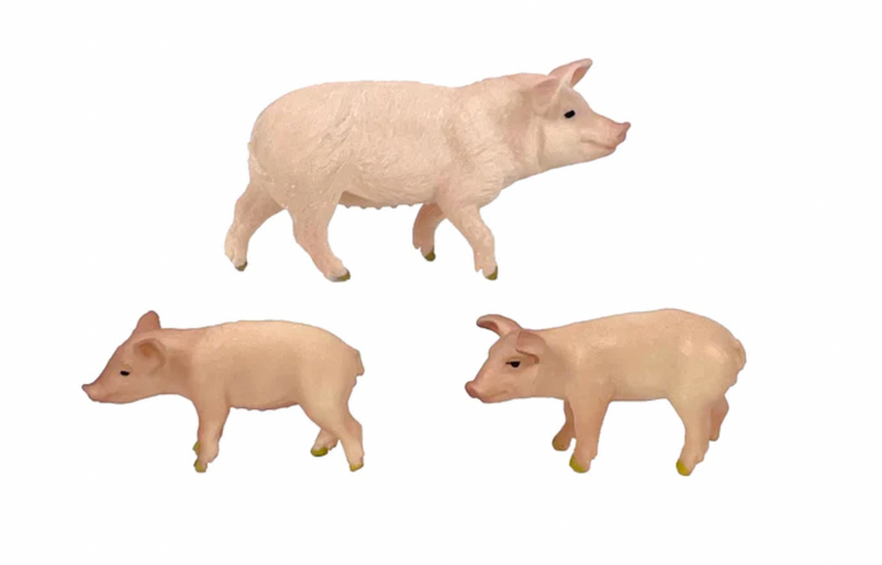 Pig & Piglets