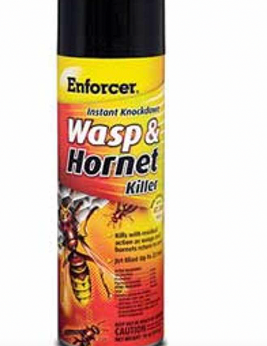 The Ranch Wasp Enforcer: Wasp & Hornet Kill - 16 Oz. — Bushland Ranch Store
