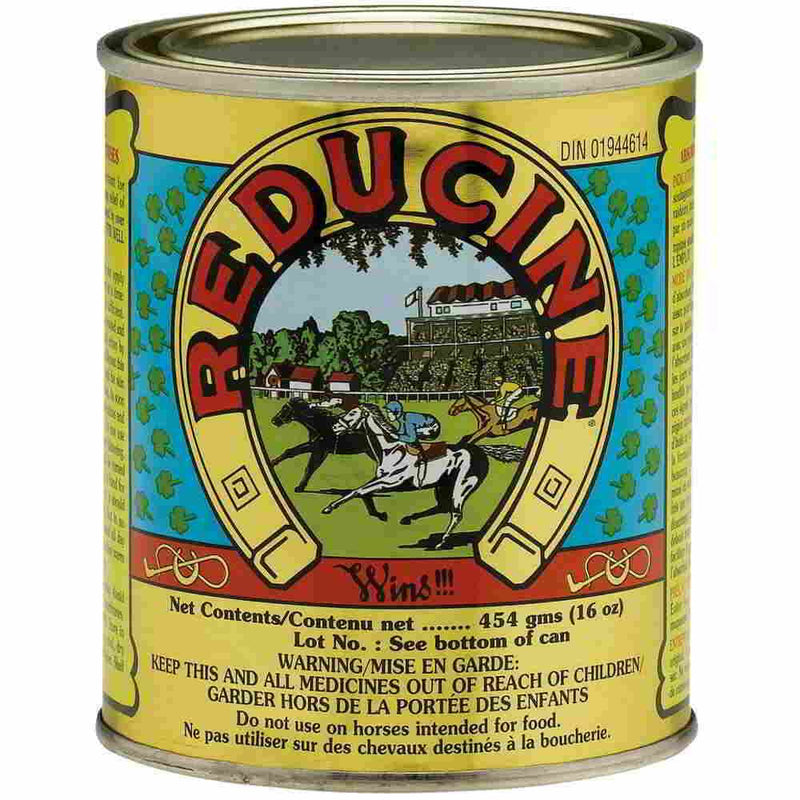 Reducine Absorbent F/Horses 16Oz