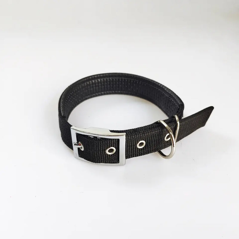 DOG COLLAR,  NYLON - LARGE SIZE