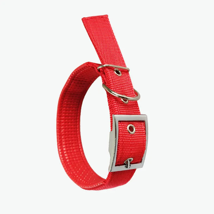 DOG COLLAR,  NYLON - SMALL SIZE