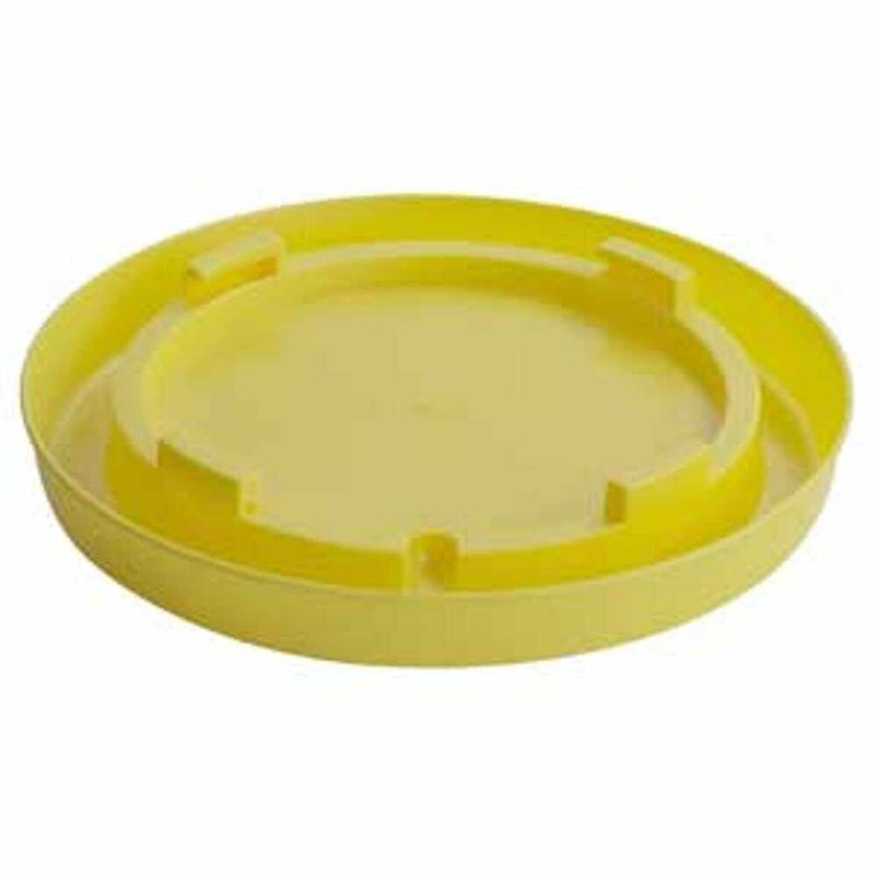 BASE-NESTING GAL-YELLOW