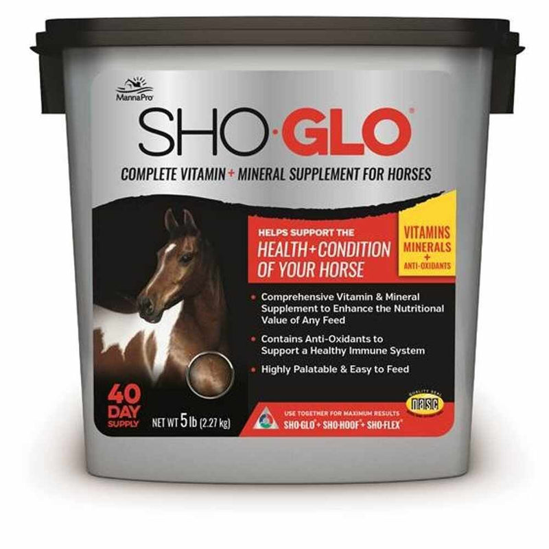 SHO-GLO 5# PAIL 4/CS