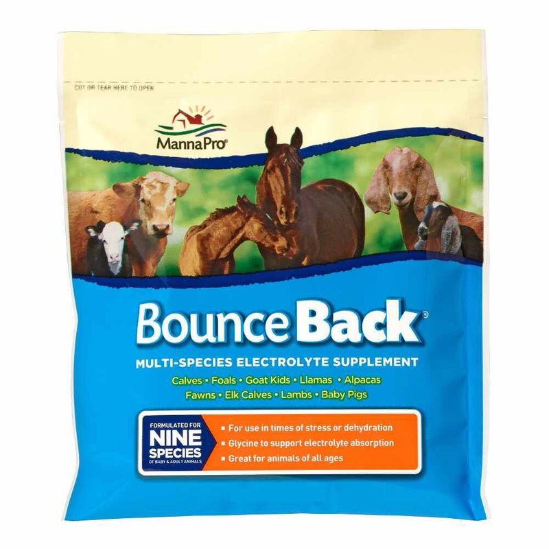 Manna Pro: Bounce Back - 4 LB