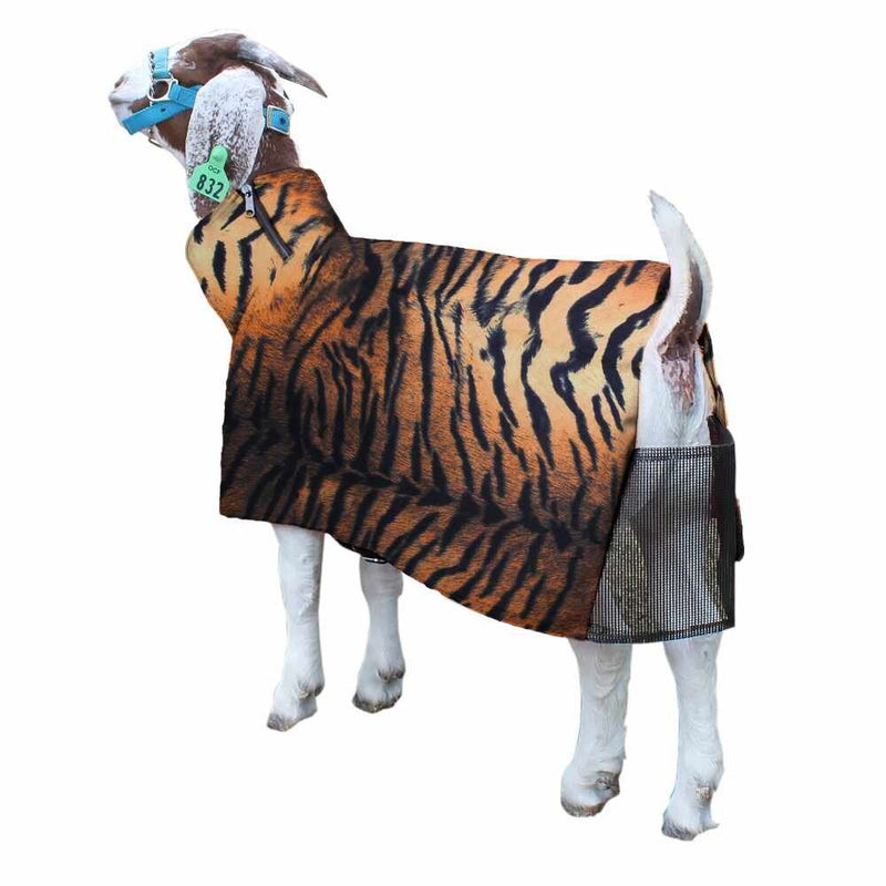 Goat Blanket Tiger XLG