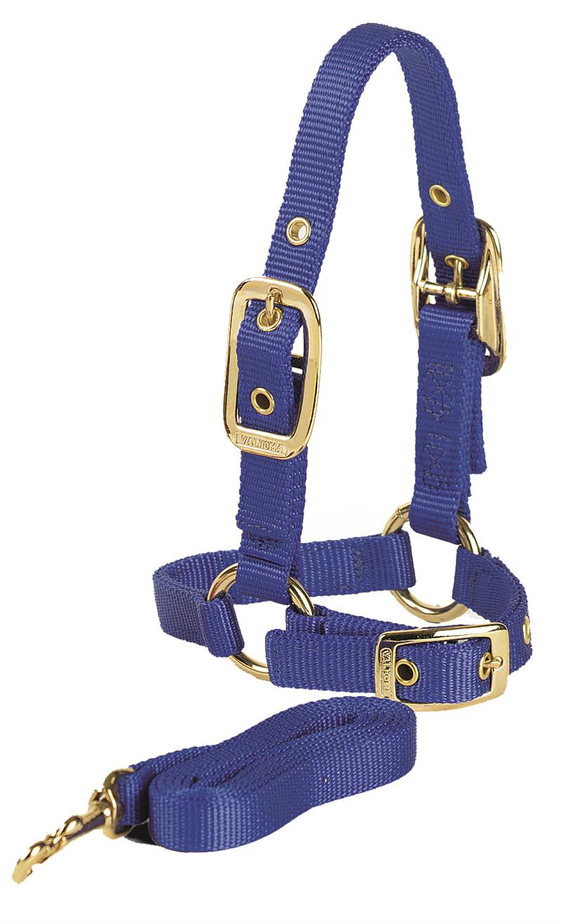 SHEEP HALTER W/LEAD BLACK