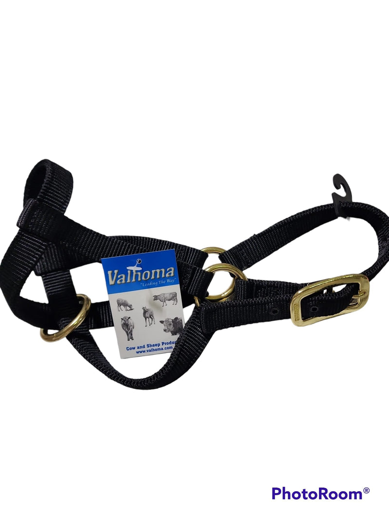 Valhoma: Halter - Goat Kid- Black