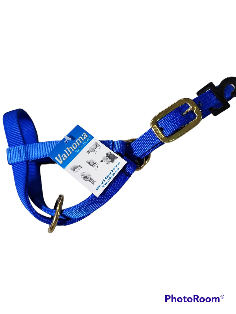 Valhoma: Halter - Goat Billy - Blue